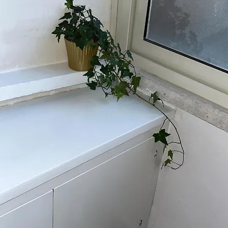 Apartamento Casa